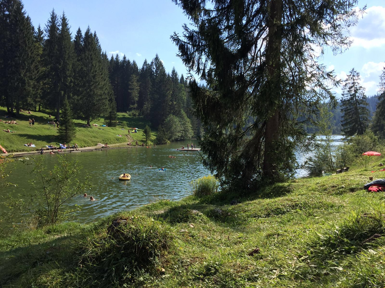 Grubsee bei Krün – Badegäste schwimmen im klaren Bergsee umgeben von Nadelwald