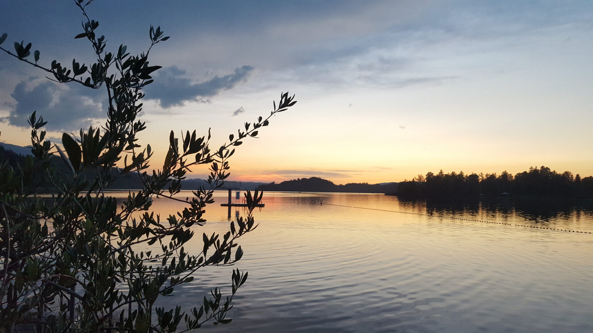 Sonnenuntergang über der Laguna Murnau mit Baumsilhouette und ruhigem See