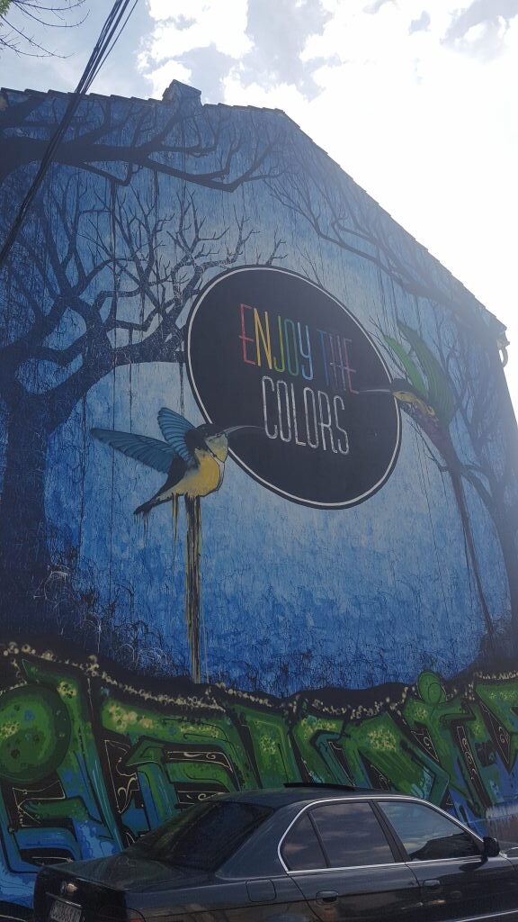 Großes Wandgemälde in Plovdiv mit Kolibri und Schriftzug Enjoy the Colors