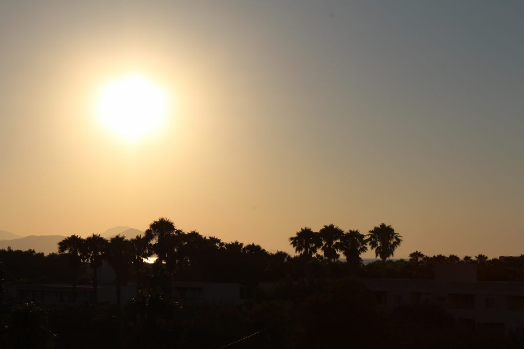 Sonnenuntergang über Palmensilhouetten auf der griechischen Insel Kos