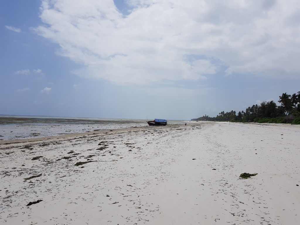Weißer Sandstrand von Bwejuu bei Ebbe mit gestrandetem Holzboot und Palmen