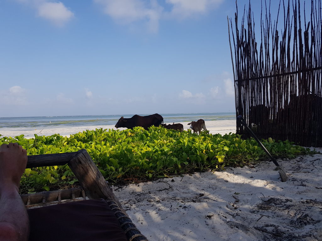 Sansibar: Wie ich spontan auf eine ostafrikanische Insel flog – und blieb