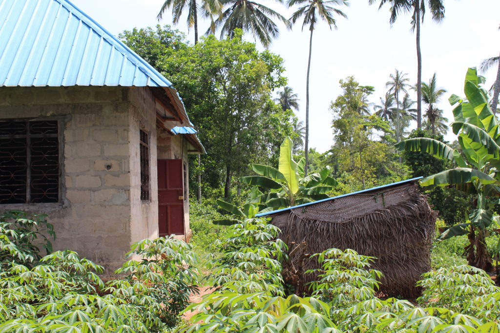 Einfaches Steinhaus mit blauem Blechdach auf der Tangawizi Spice Farm Sansibar