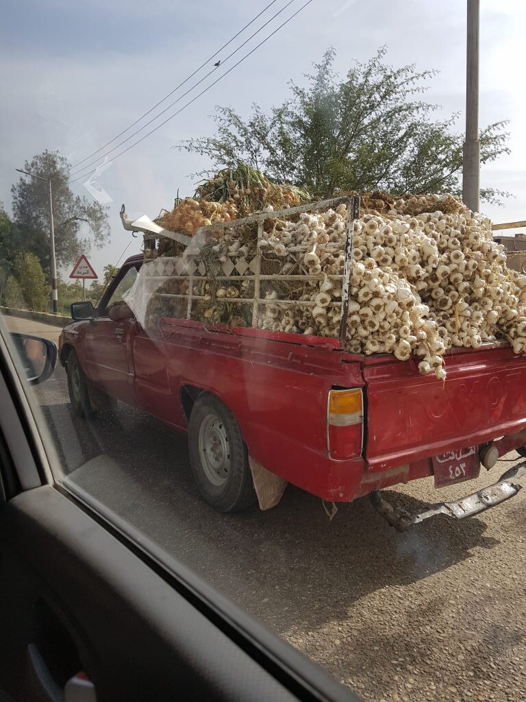 Roter Pickup-Truck vollbeladen mit frischem Knoblauch auf einer Straße in Luxor, Ägypten