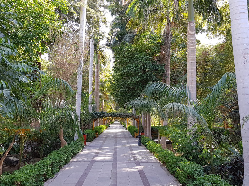 Gepflegter Gartenweg im Aswan Botanical Garden mit hohen Palmen und üppigem Grün