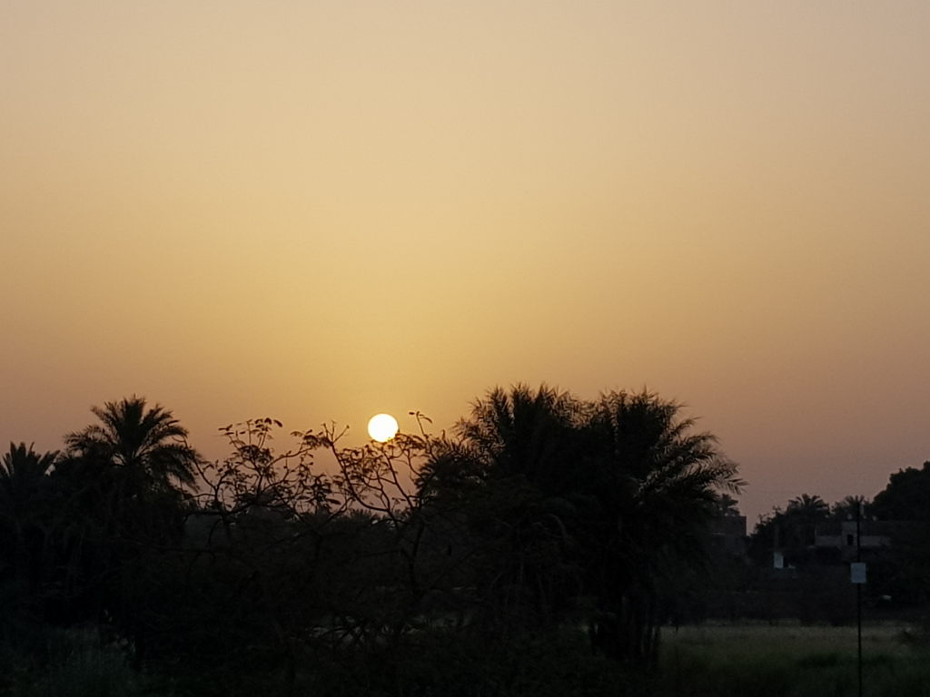 Sonnenaufgang über Palmen-Silhouetten in Luxor, Ägypten