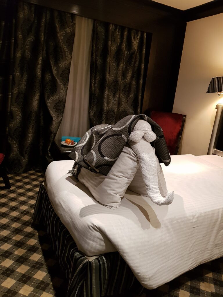 Handtuchfigur Elefant auf dem Bett in der Kabine der MS Semiramis II