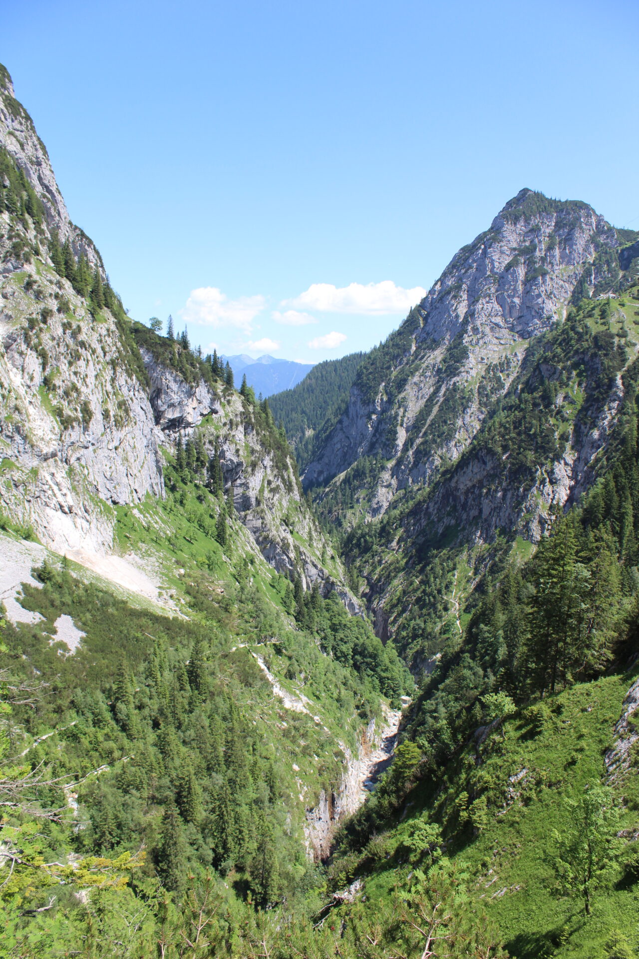 Tiefer Blick in die Höllentalklamm mit steilen Felswänden und Nadelwäldern