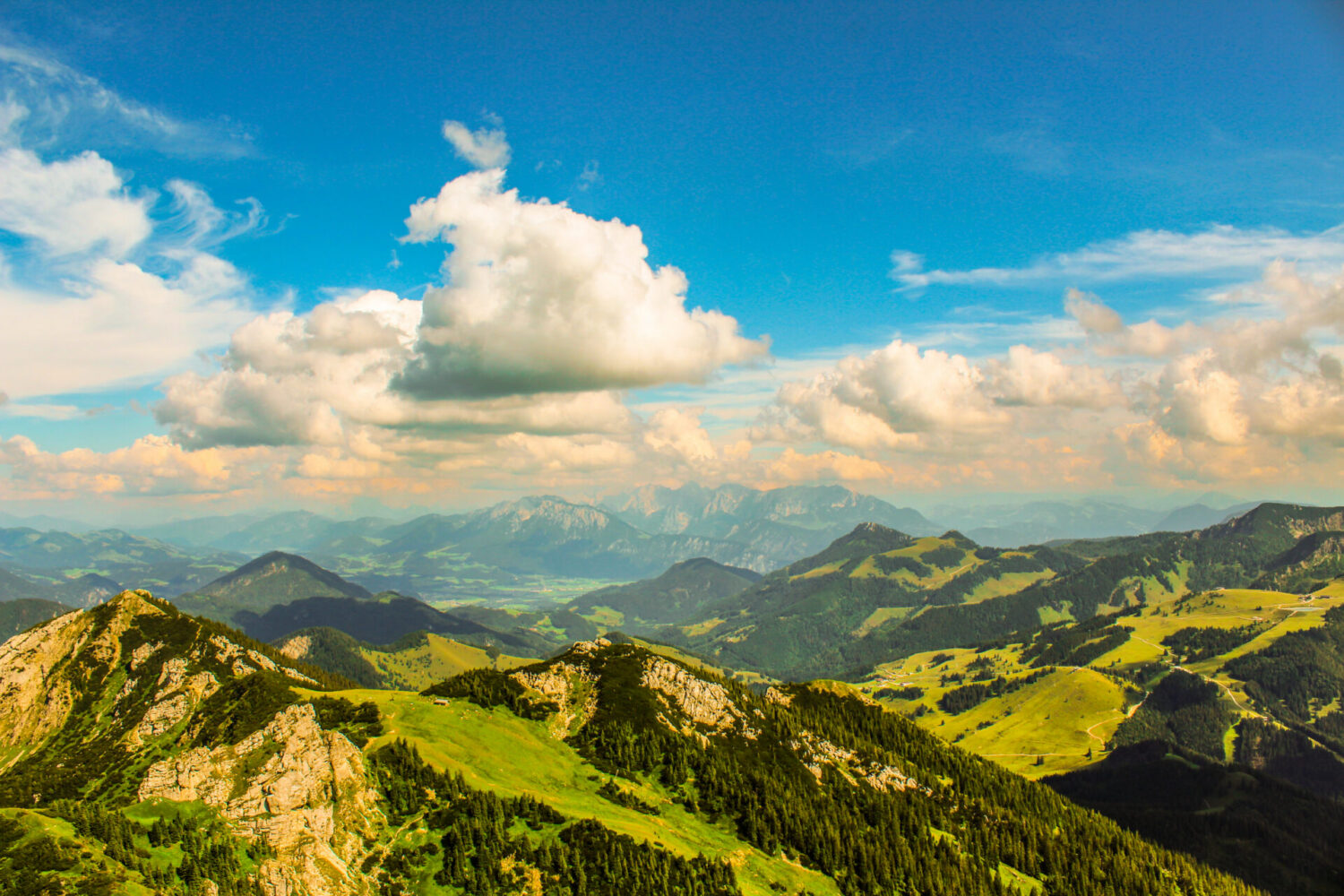 Wendelstein: 800 Hm, ein zottiges Kalb und Panorama ohne Ende