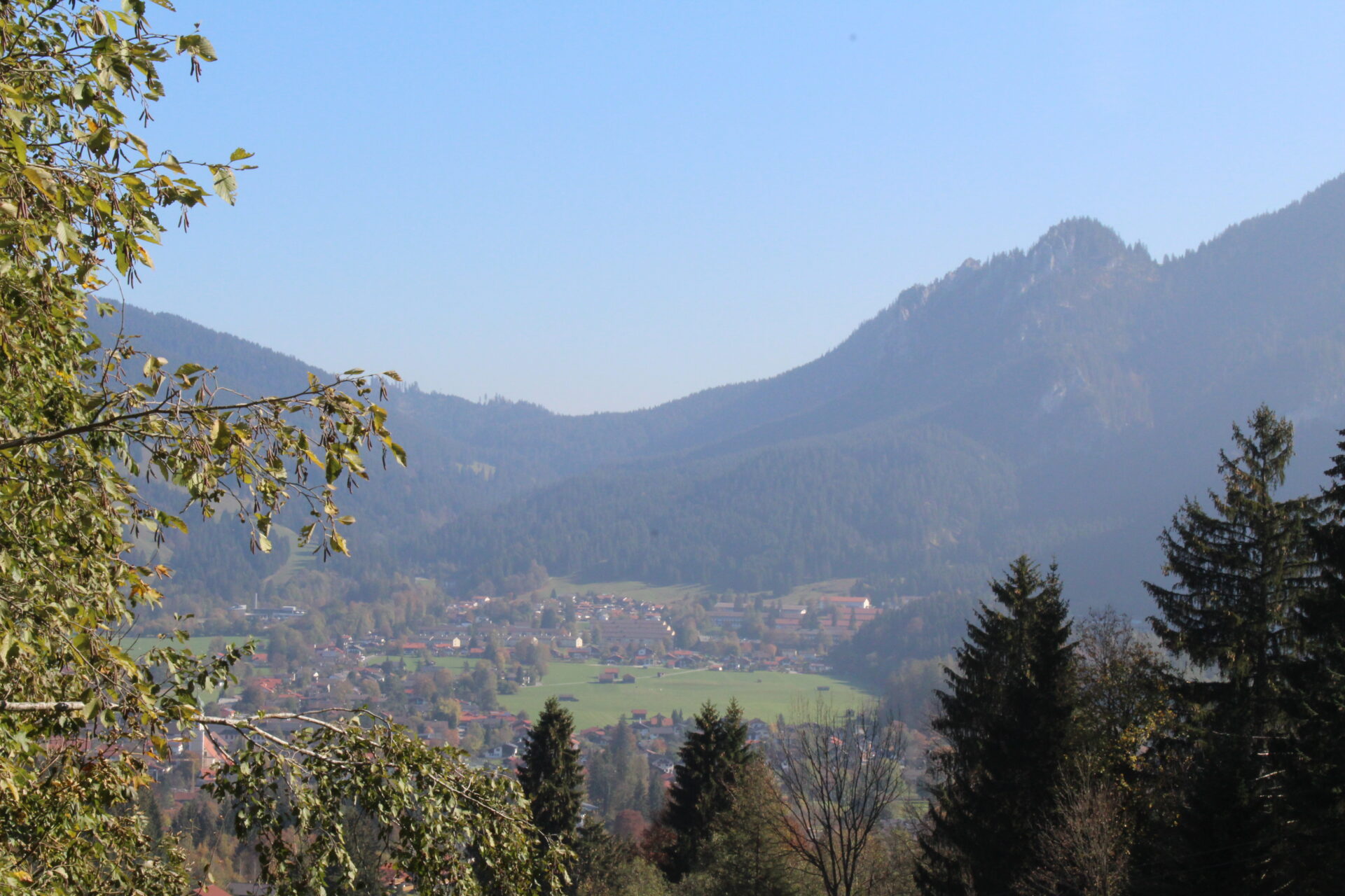 20181019120122_IMG_3612