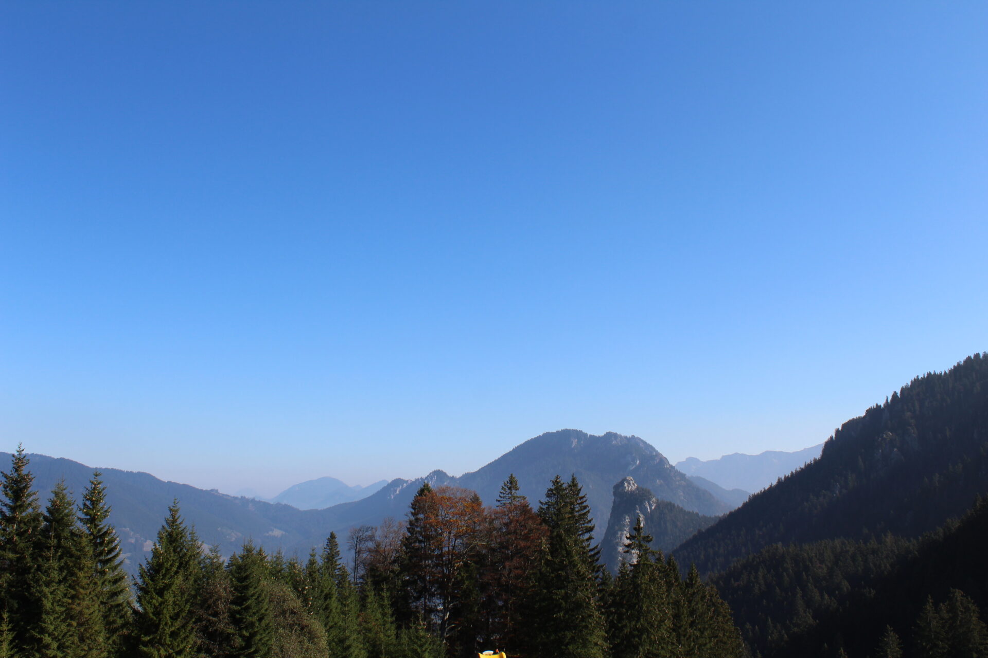 20181019131218_IMG_3629