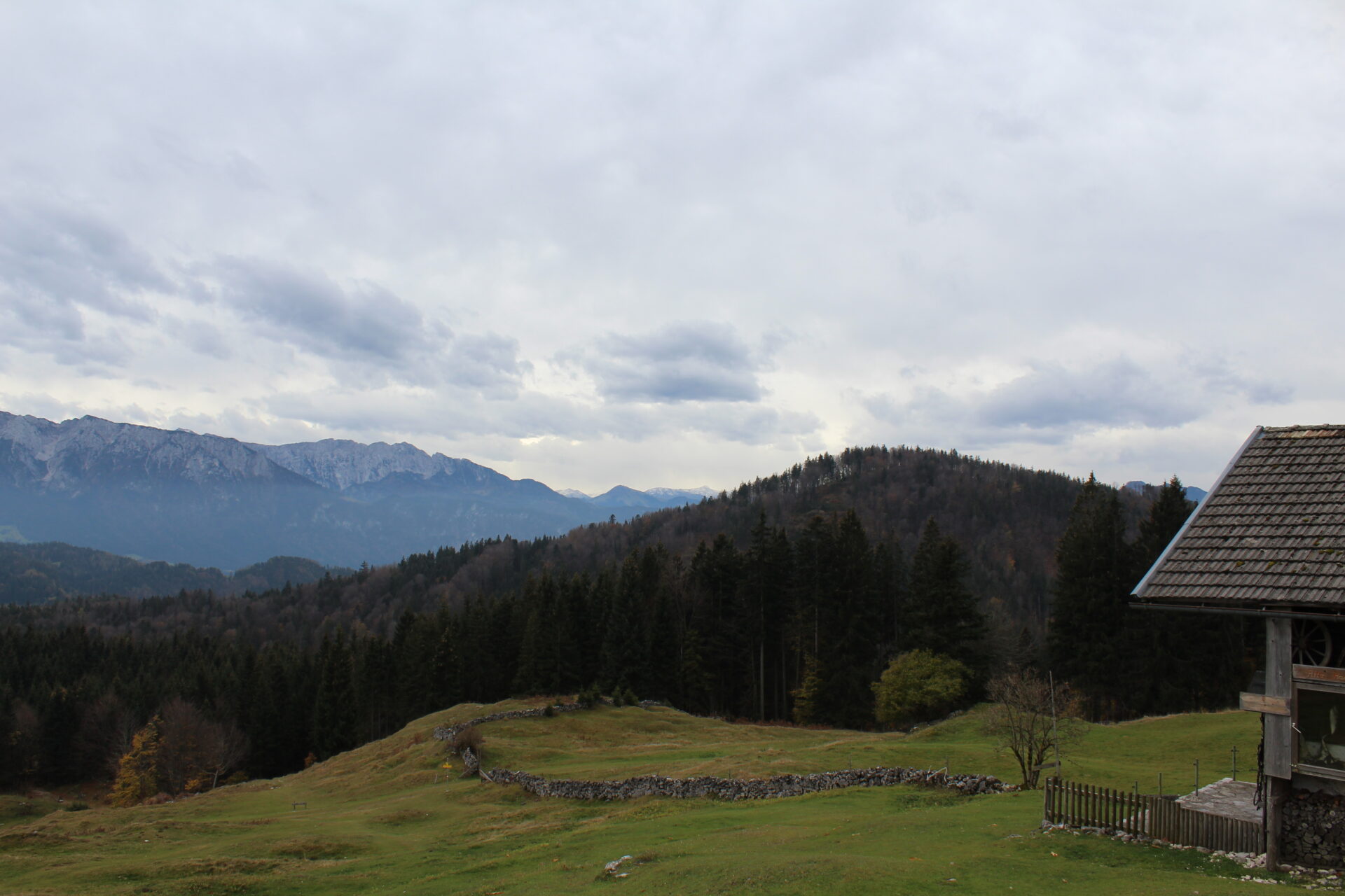 20181030131334_IMG_3654