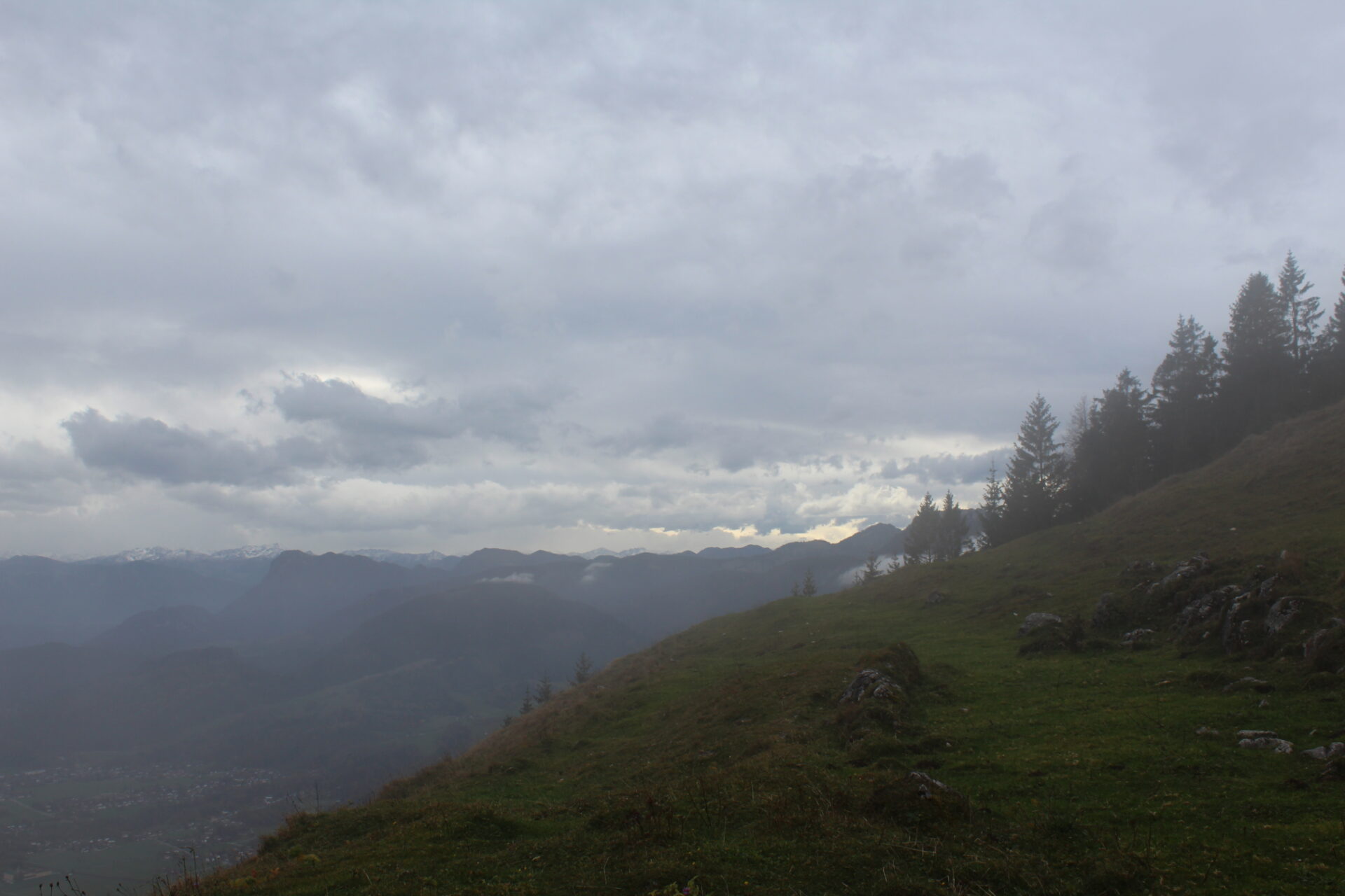 20181030135708_IMG_3695