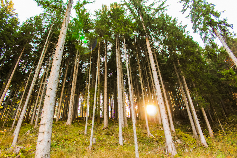 Kolbensattel: 650 Höhenmeter, eine Hütte und kein Schritt weiter