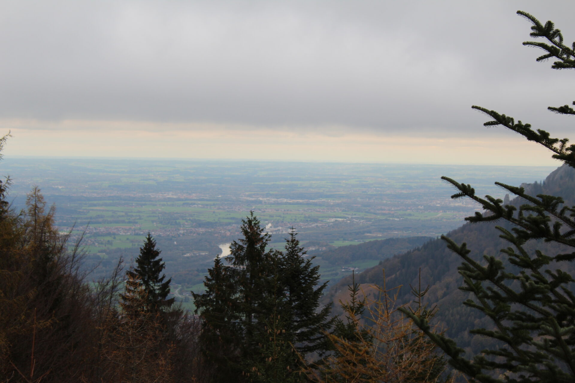 Weitblick vom Kranzhorn über das Inntal mit Fichten im Vordergrund