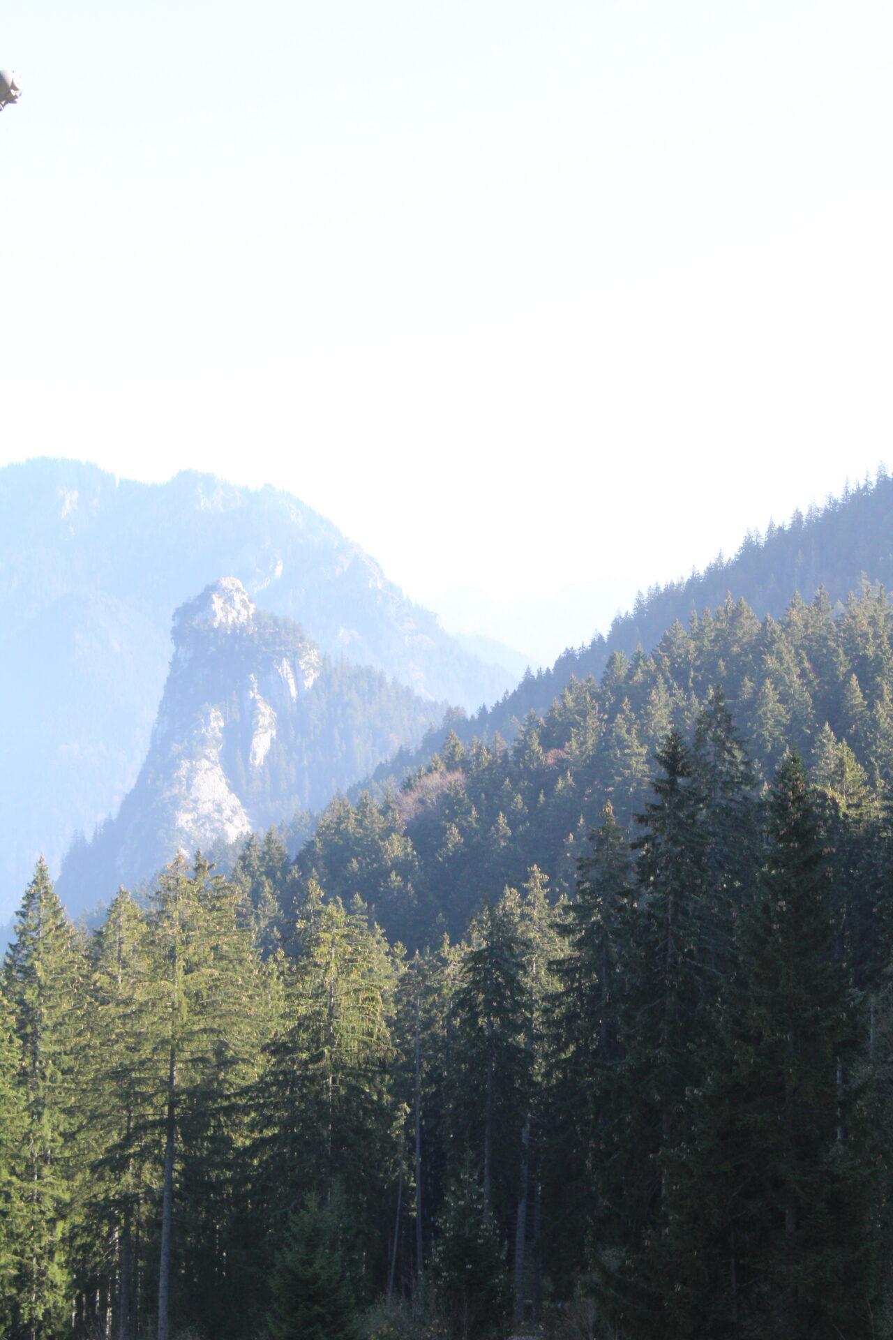 Nadelwald und felsiger Berggipfel am Kolbensattel bei Oberammergau im Herbst