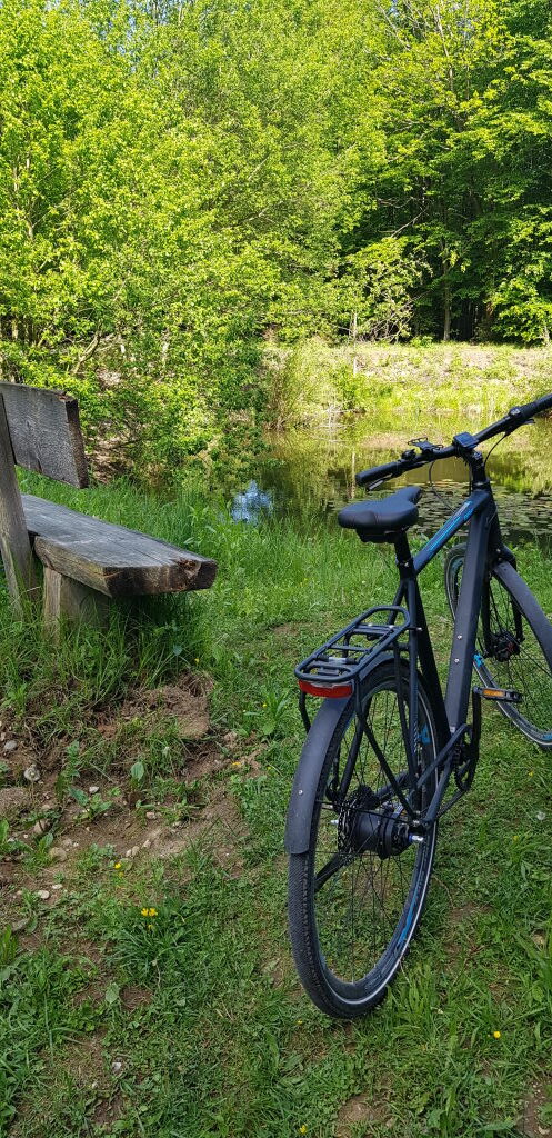 Fahrrad neben Holzbank an kleinem Weiher im Anzinger Forst