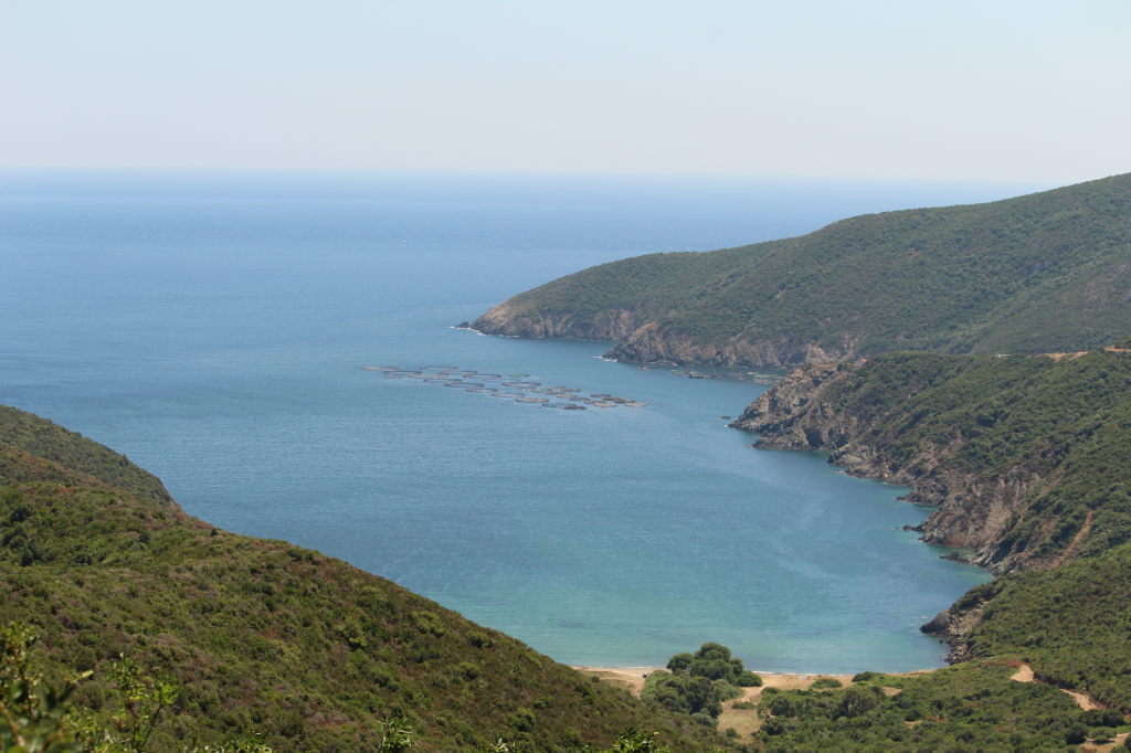 Panoramablick auf die Bucht von Toroni Beach mit türkisblauem Meer und grünen Hügeln