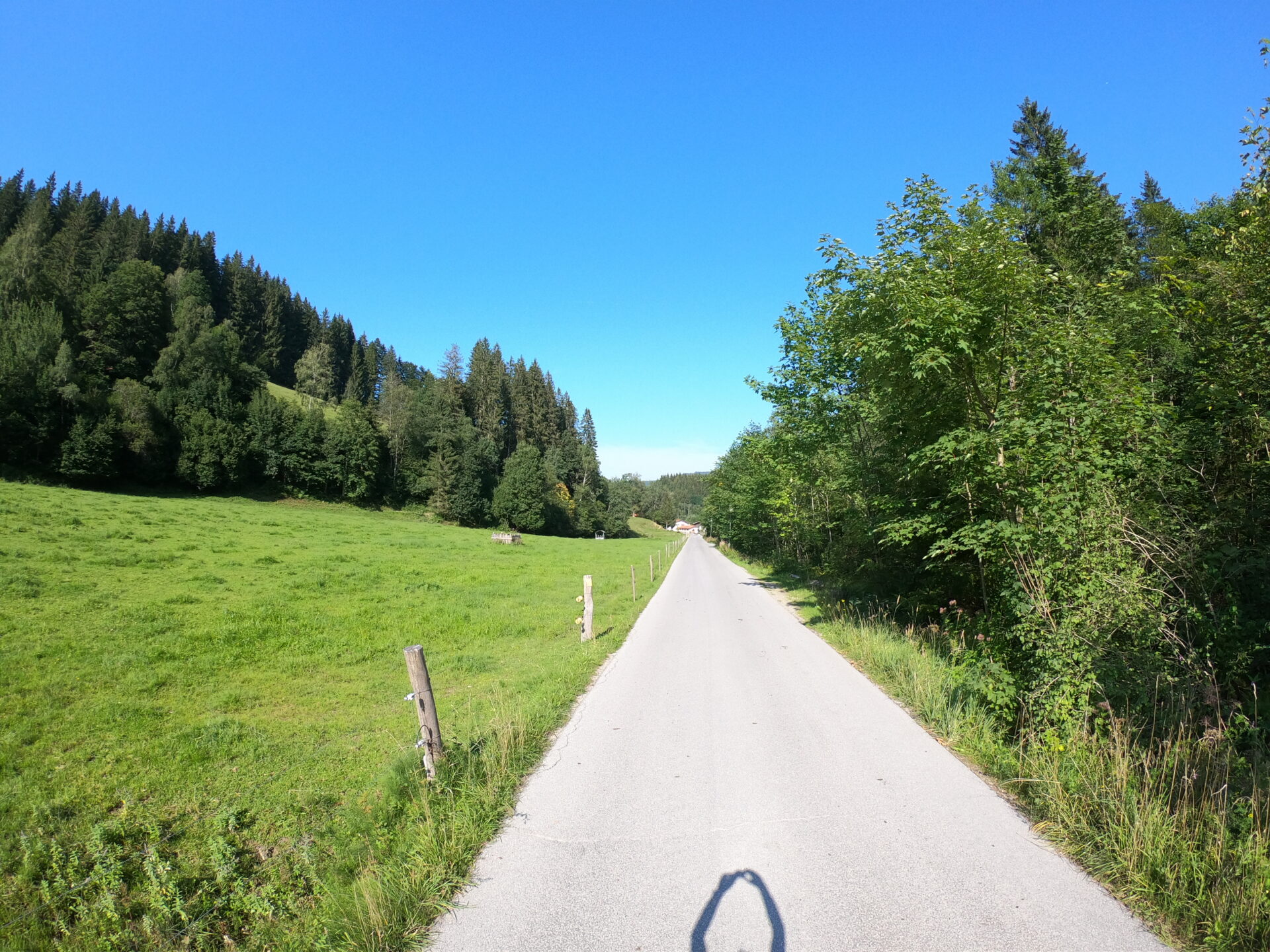 Schmale Landstraße in der Schliersee-Region zwischen sattgrünen Wiesen und Nadelbäumen unter strahlend blauem Himmel