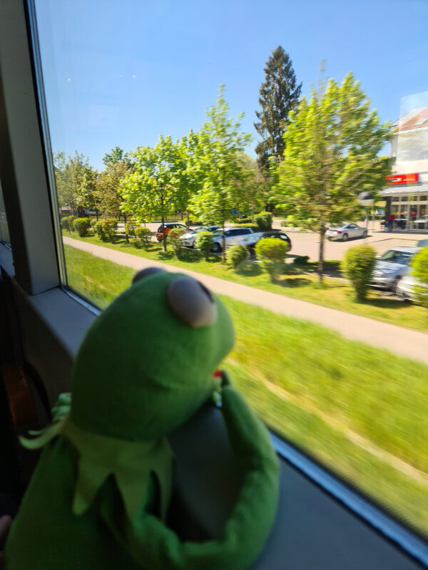 Kermit schaut aus dem Zugfenster ins Grüne