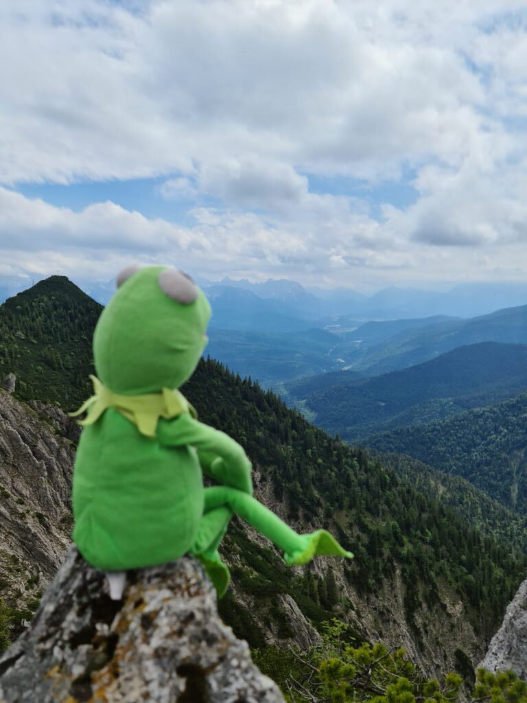 Kermit der Frosch sitzt auf einem Fels am Herzogstand mit Alpenpanorama