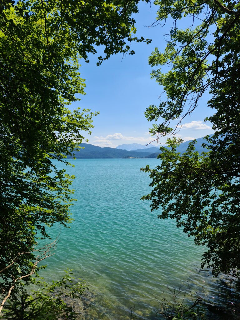 Walchensee türkisblaues Wasser durch Baumrahmen am Jochberg im Juni 2020