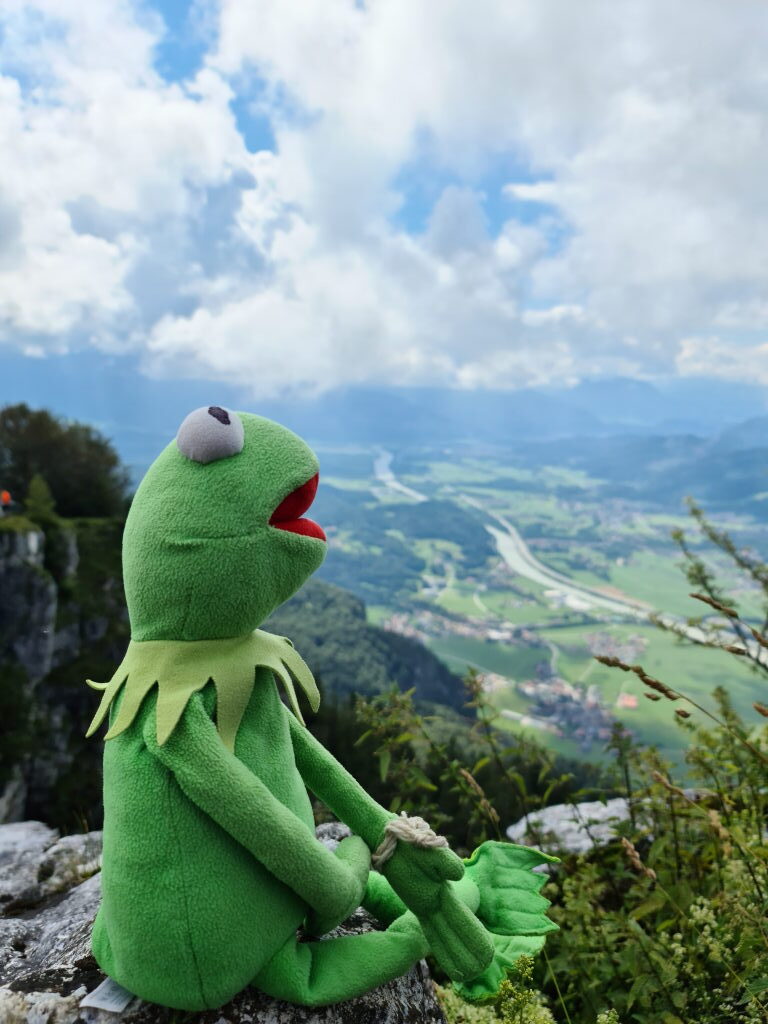 Kermit der Frosch sitzt auf einem Felsvorsprung am Kranzhorn-Gipfel mit Blick ins Inntal Juli 2020
