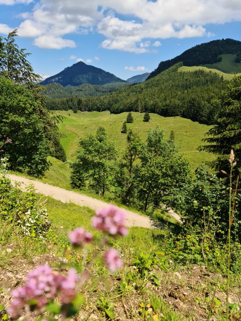 Wanderweg am Kranzhorn mit Blick auf weites Almtal und Bergpanorama Juli 2020