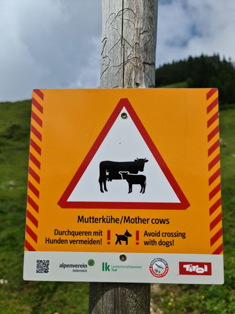 Oranges Warnschild für Mutterkühe auf dem Wanderweg am Kranzhorn Juli 2020