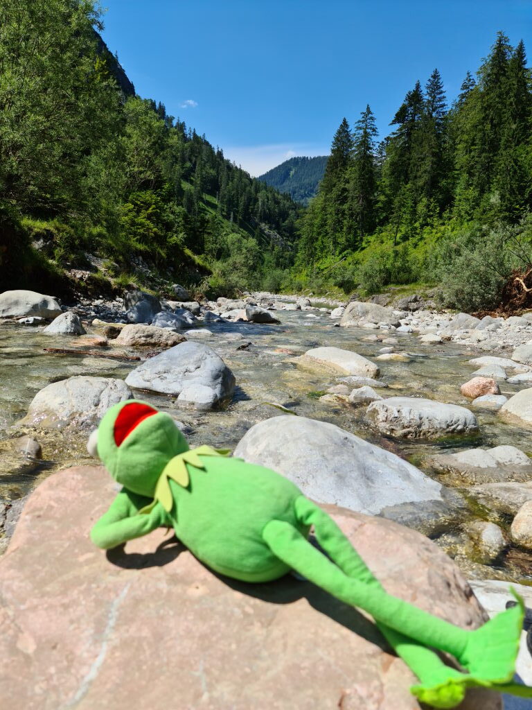 Kermit liegt auf einem Felsen am Gebirgsbach bei Siebenhütten und schaut ins Tal