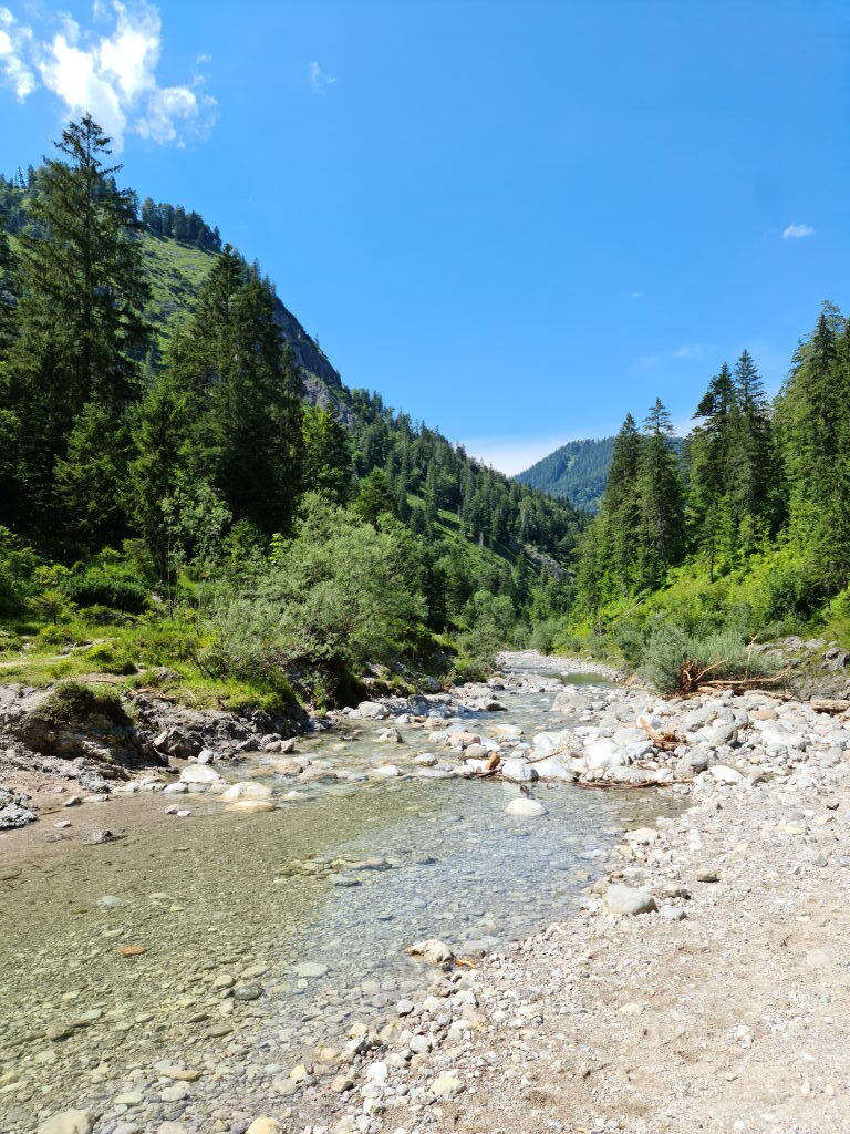 Gebirgsbach bei Siebenhütten mit steinigem Ufer und Bergwald im Sommer