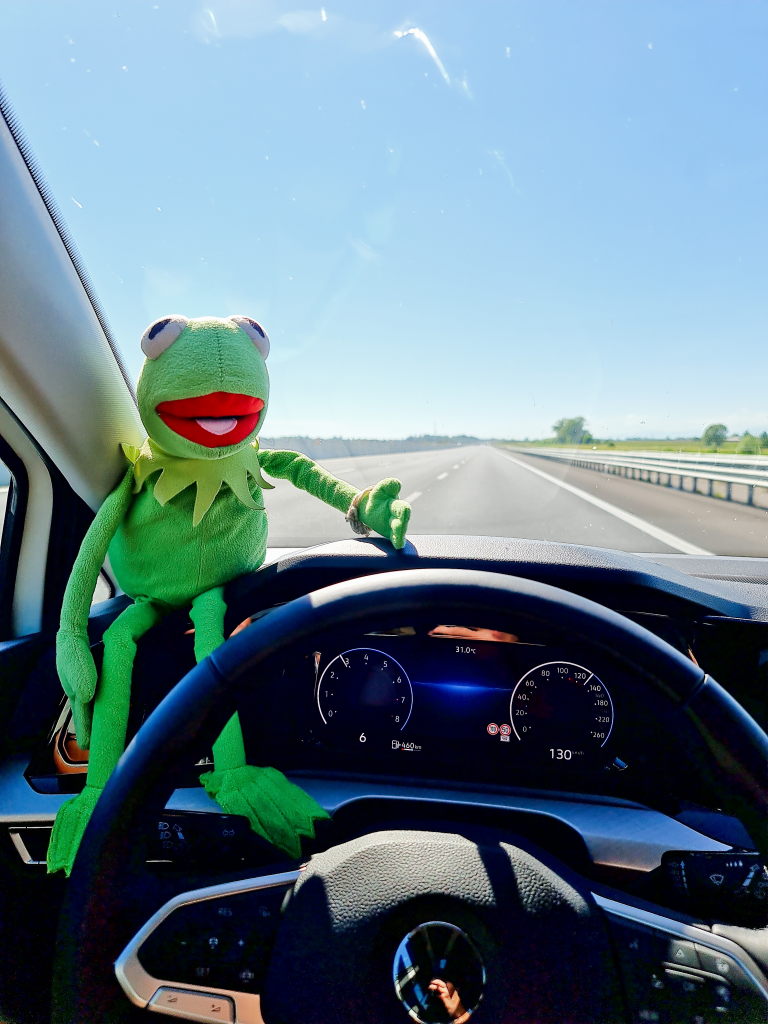 Kermit am Steuer auf der Autobahn Richtung Italien, August 2020