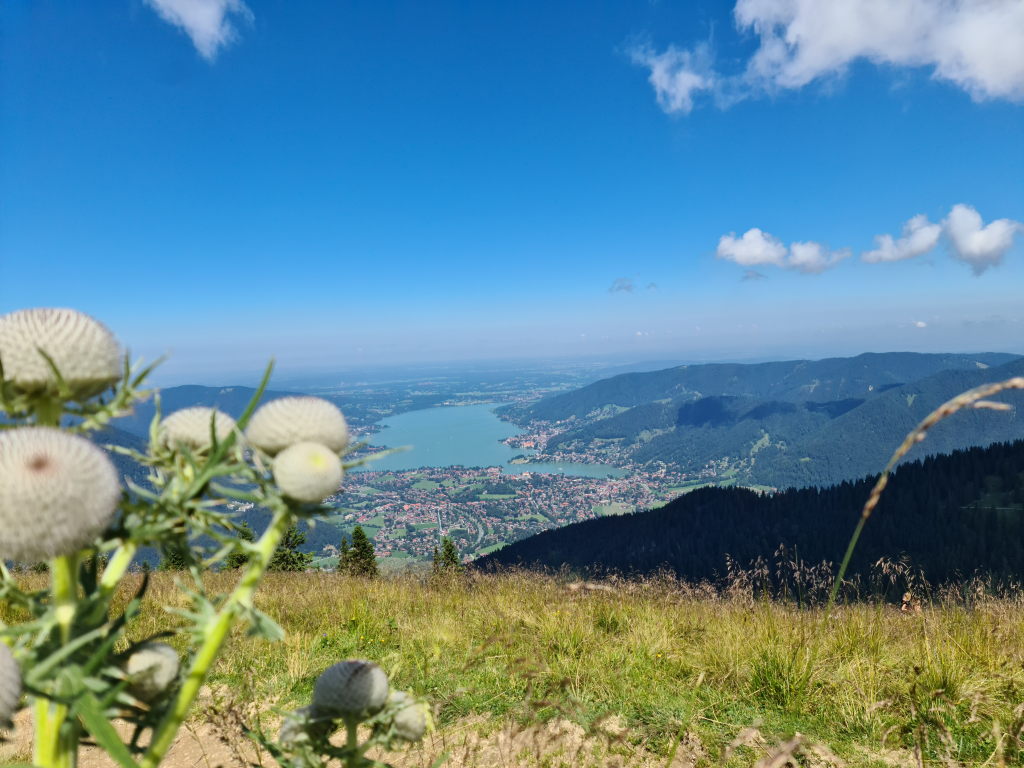 Wallberg war zu voll – also Setzberg: Mein schönster Sommertag am Tegernsee