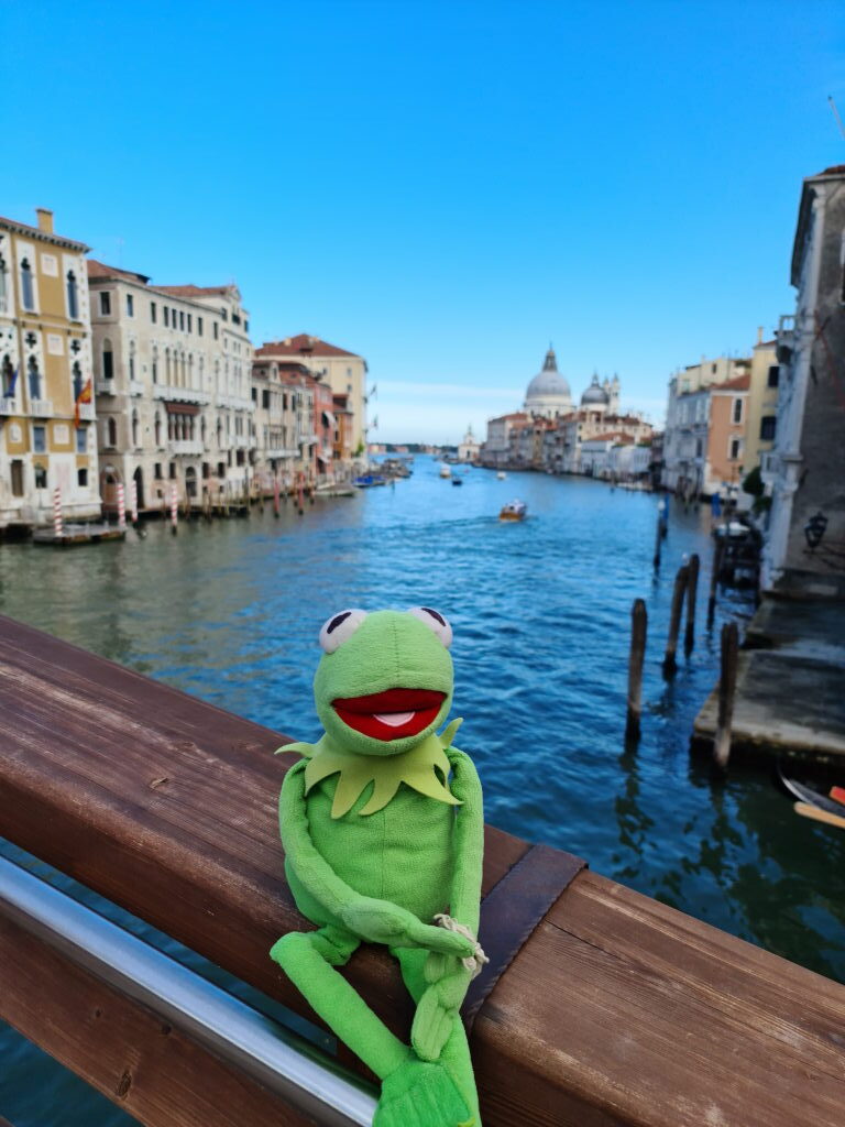 Venedig Canal Grande Ponte Accademia Kermit August 2020