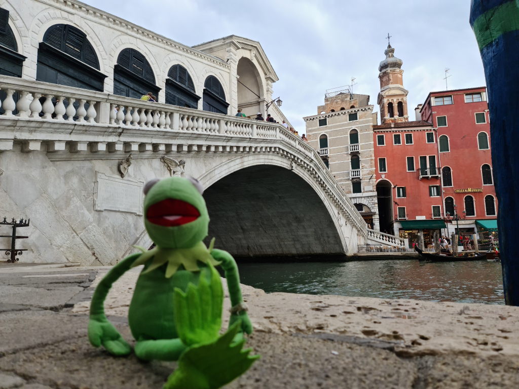Kermit vor der Rialtobrücke am Canal Grande in Venedig, August 2020