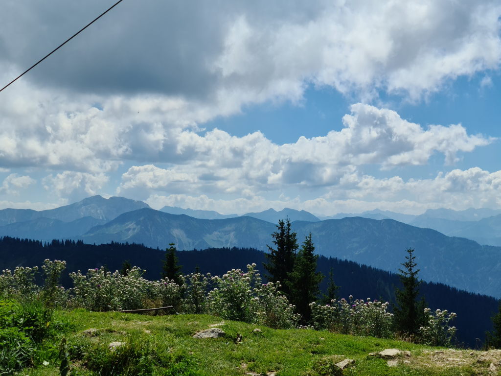 Blick vom Setzberg nach Süden auf die Bergkämme mit blühendem Pestwurz im Vordergrund