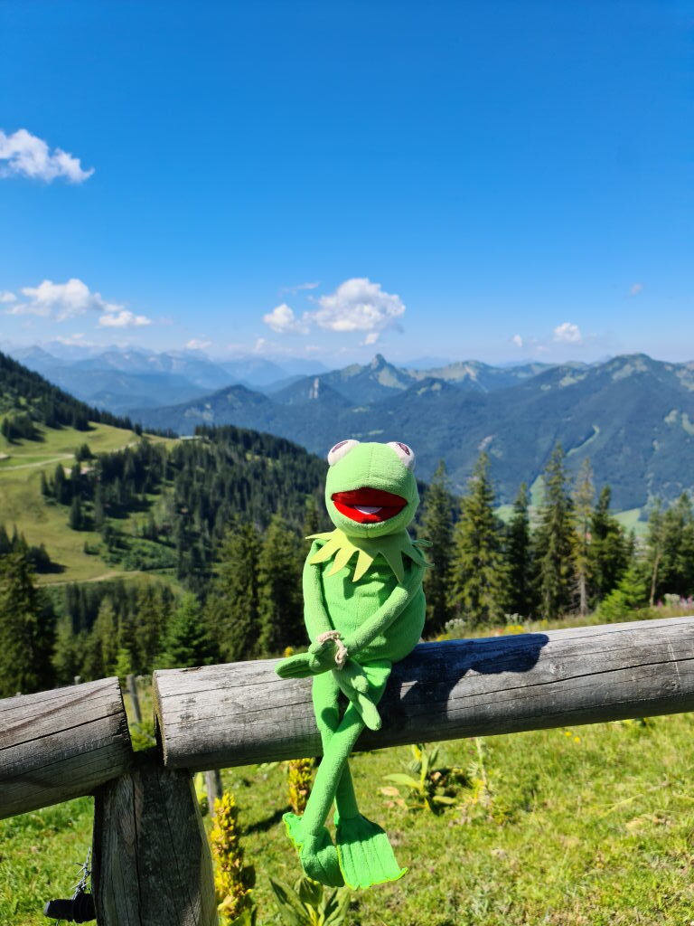 Kermit der Frosch sitzt auf einem Holzzaun mit Bergpanorama im Hintergrund am Wallberg
