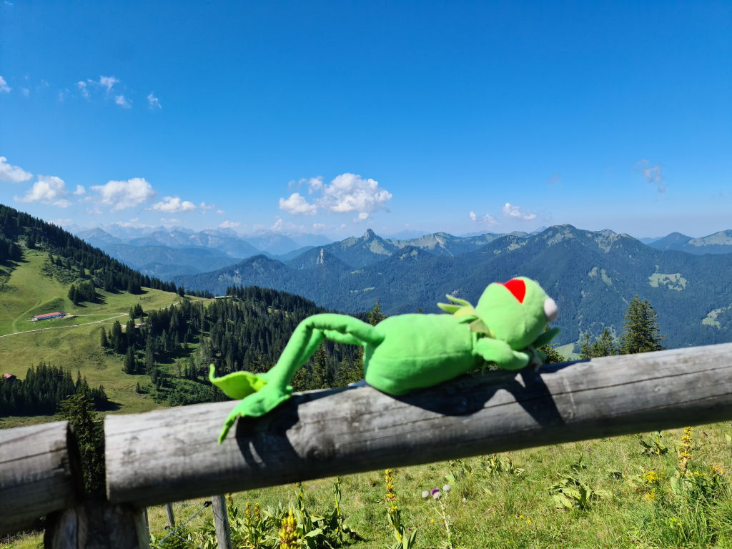Kermit liegt entspannt auf dem Holzzaun am Wallberg mit Bergpanorama im Hintergrund