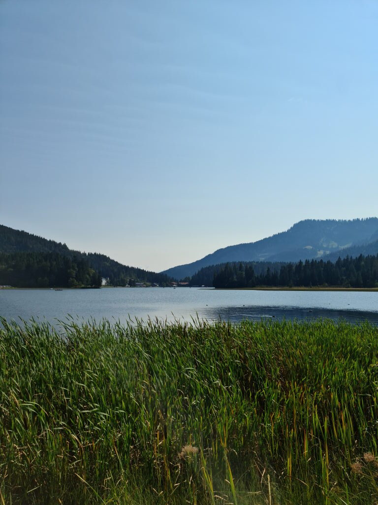 Spitzingsee mit Schilf und Bergpanorama im September 2020