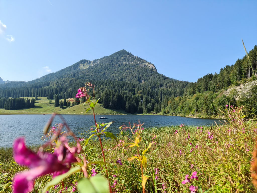 Taubenstein: 700 Höhenmeter, eine Kröte und Käsespätzle mit Aussicht