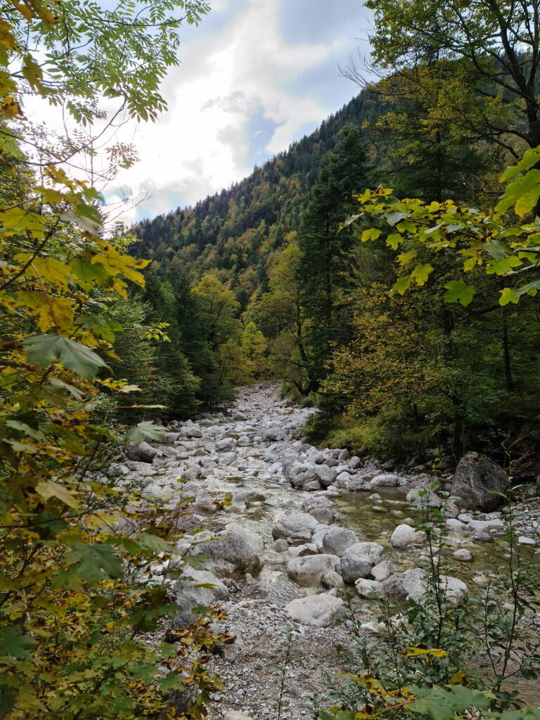 Glasbach bei der Lainlalm mit herbstlichem Laubwald und weißen Steinen Oktober 2020
