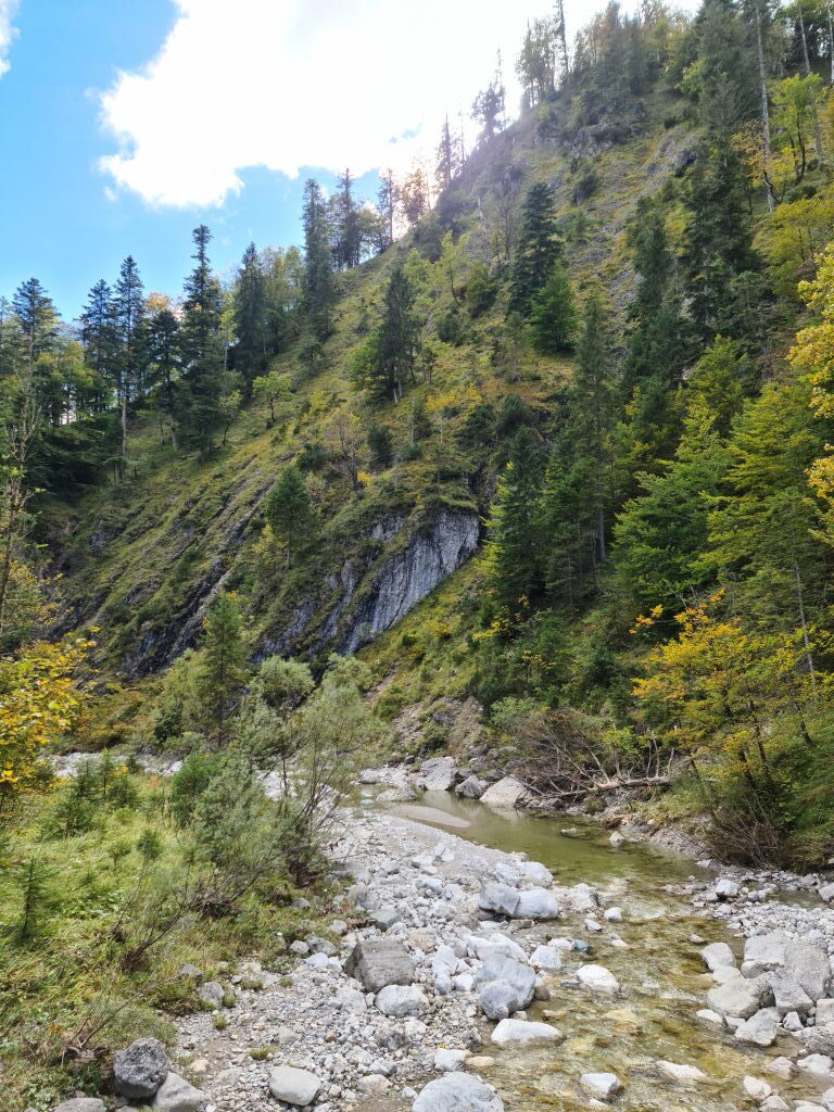 Glasbach-Schlucht mit grauem Kalkfelsen und herbstlichem Uferwald Oktober 2020