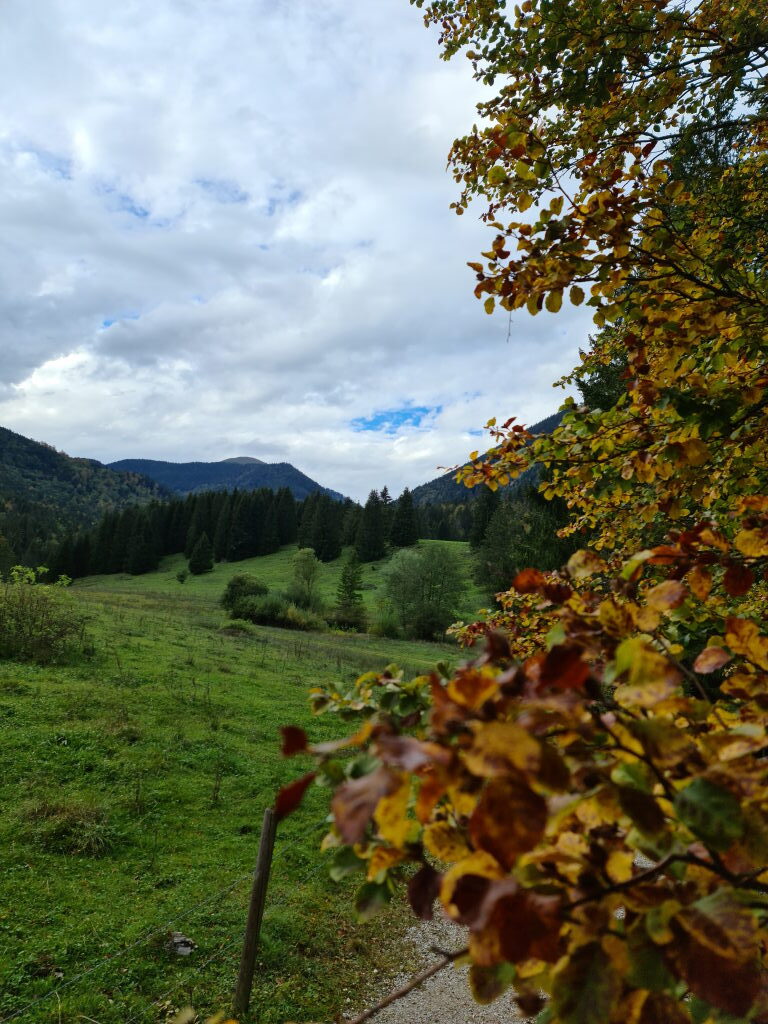 Herbstlandschaft bei der Lainlalm Jachenau mit goldenem Laub und Bergen Oktober 2020