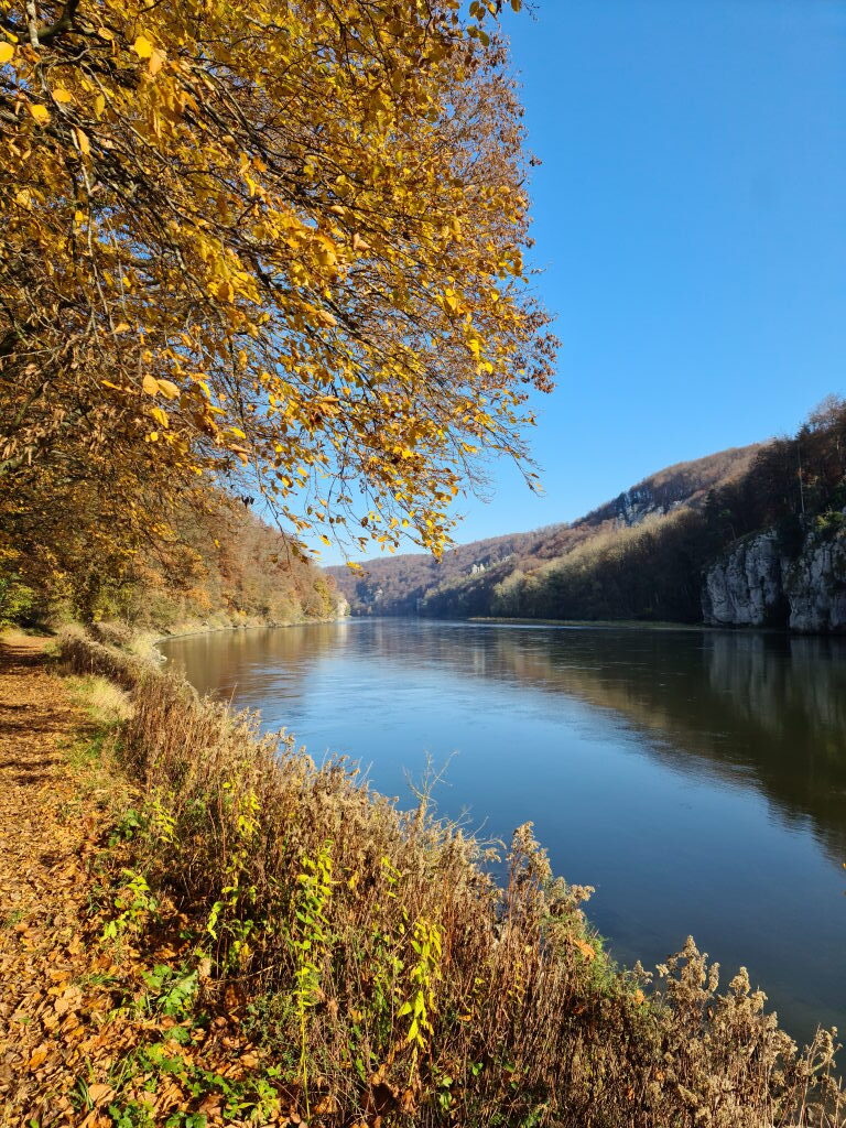 Donaudurchbruch Kelheim, Kiesbank am Flussufer, Kalkfelsen spiegeln sich im Wasser, Herbst November 2020