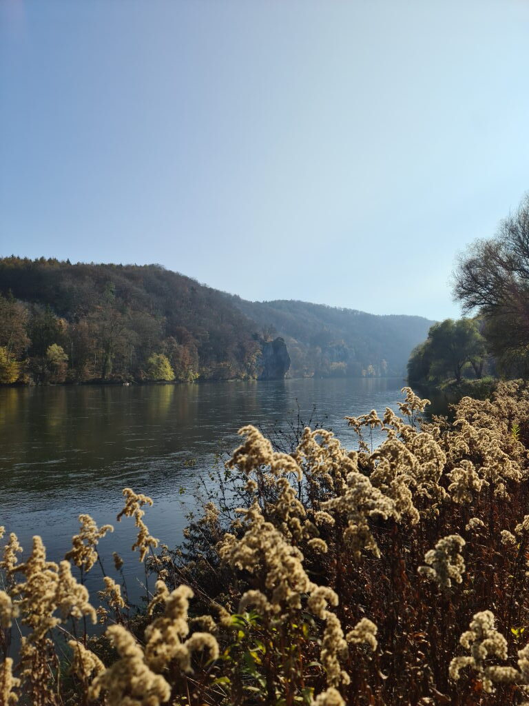 Donaudurchbruch Kelheim mit freistehendem Kalkfelsen im Fluss, Herbststimmung, November 2020
