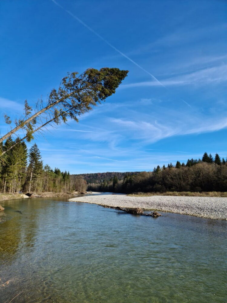 Kloster Schäftlarn: Isar, Alpen-Panorama & Kermits erster Hängebrücken-Schock