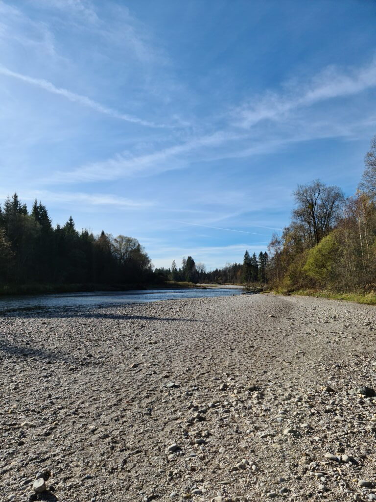 Weites Kiesufer der Isar bei Schäftlarn im November, blauer Himmel, ruhiges Wasser