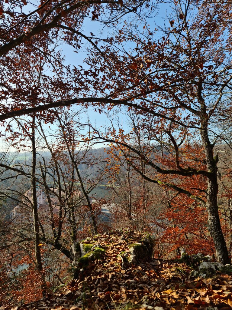 Keltischer Erdwall im Herbstwald bei Kelheim, Laubdecke, moosbedeckte Steine, November 2020