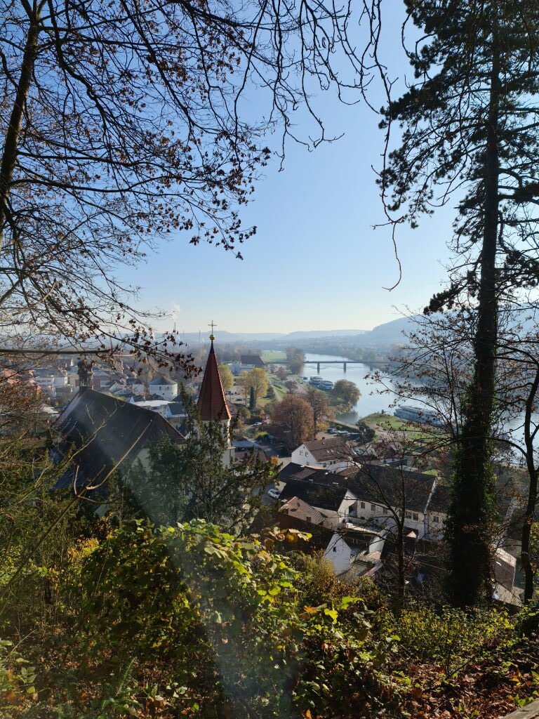 Aussicht vom Hang über Kelheim mit Kirchturm und Donau, Herbst November 2020