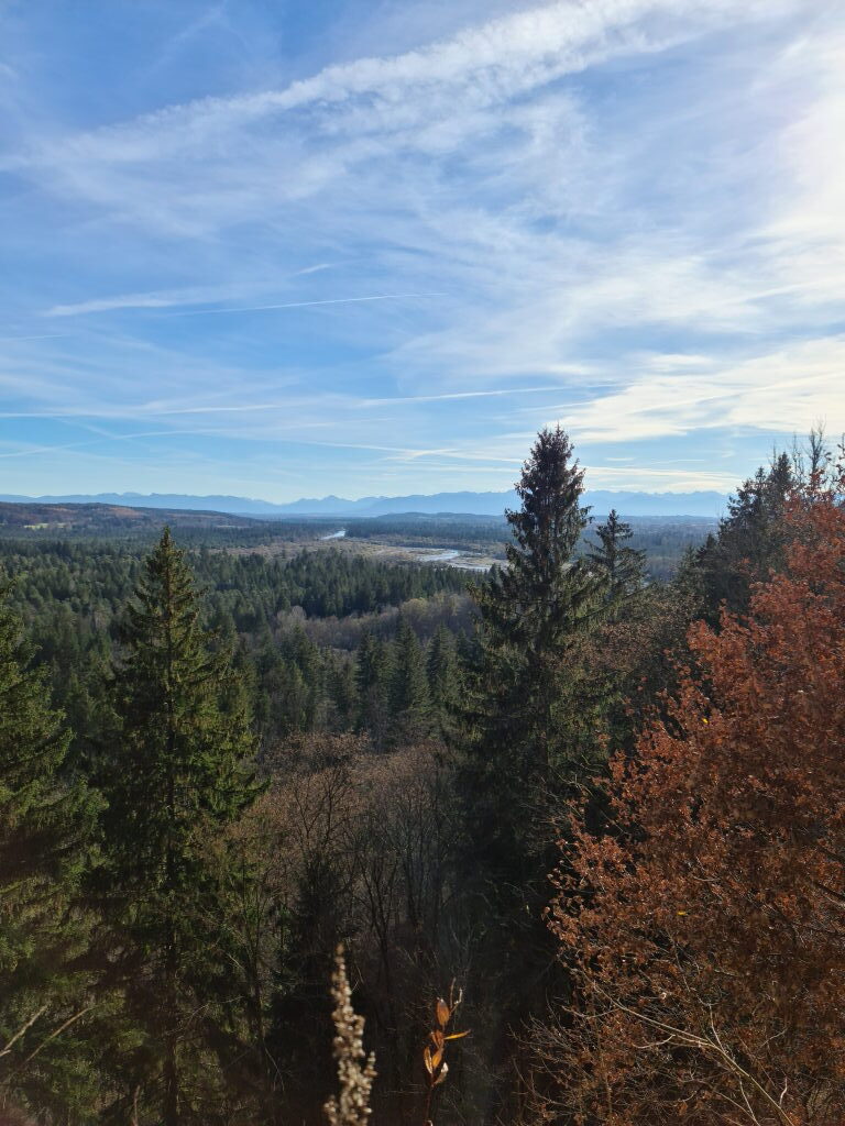 Panoramablick von der Weißen Wand über das Isartal auf die Alpen, Nadelwald, blauer Himmel